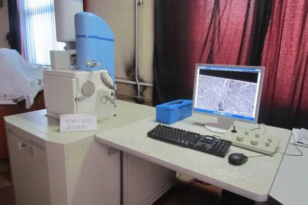 Scanning electron microscopy